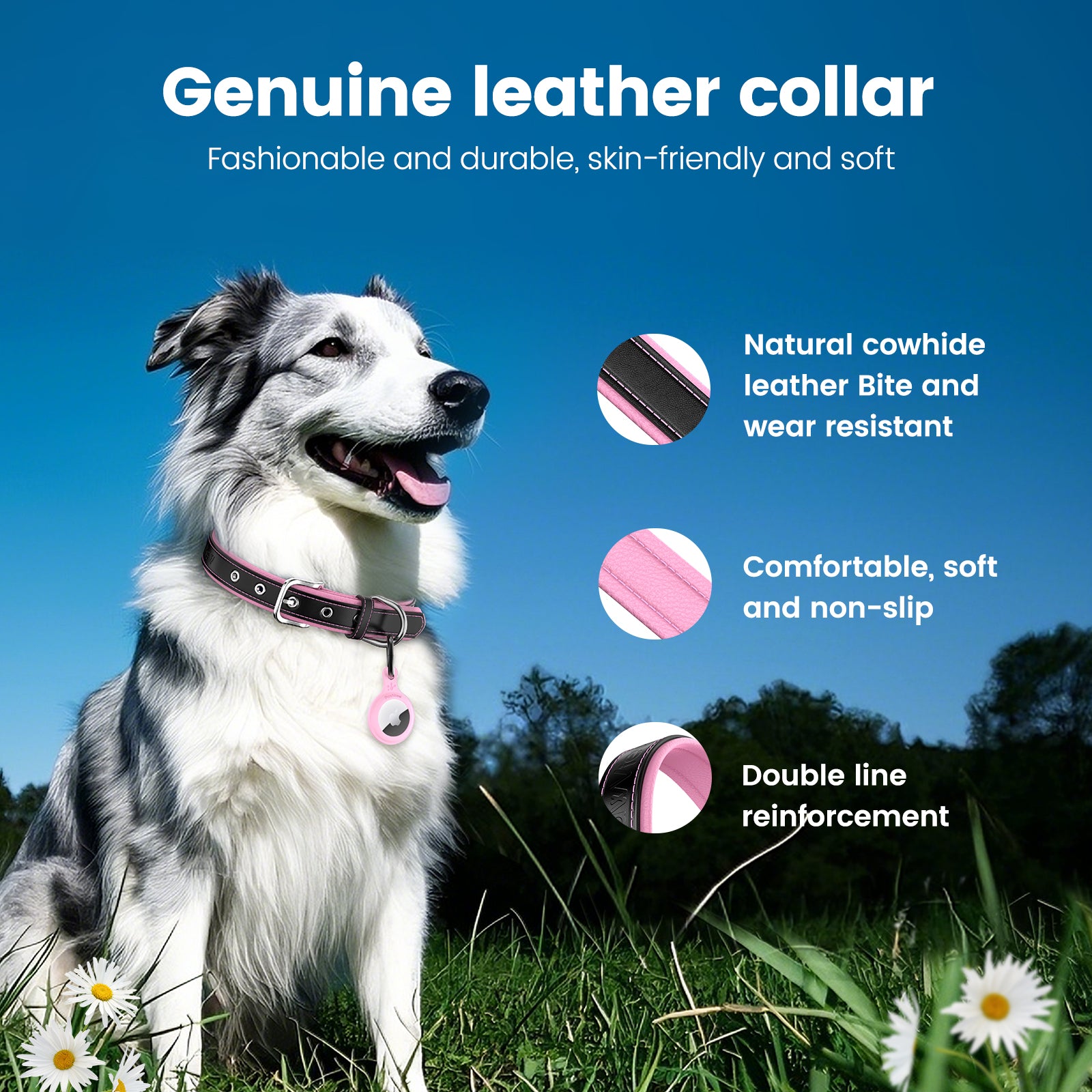 Pawview Collier pour Chien avec Tag Intelligent Ajustable et Confortable en Bleu Orange Blanc Rose Violet avec Support pour Airtag
