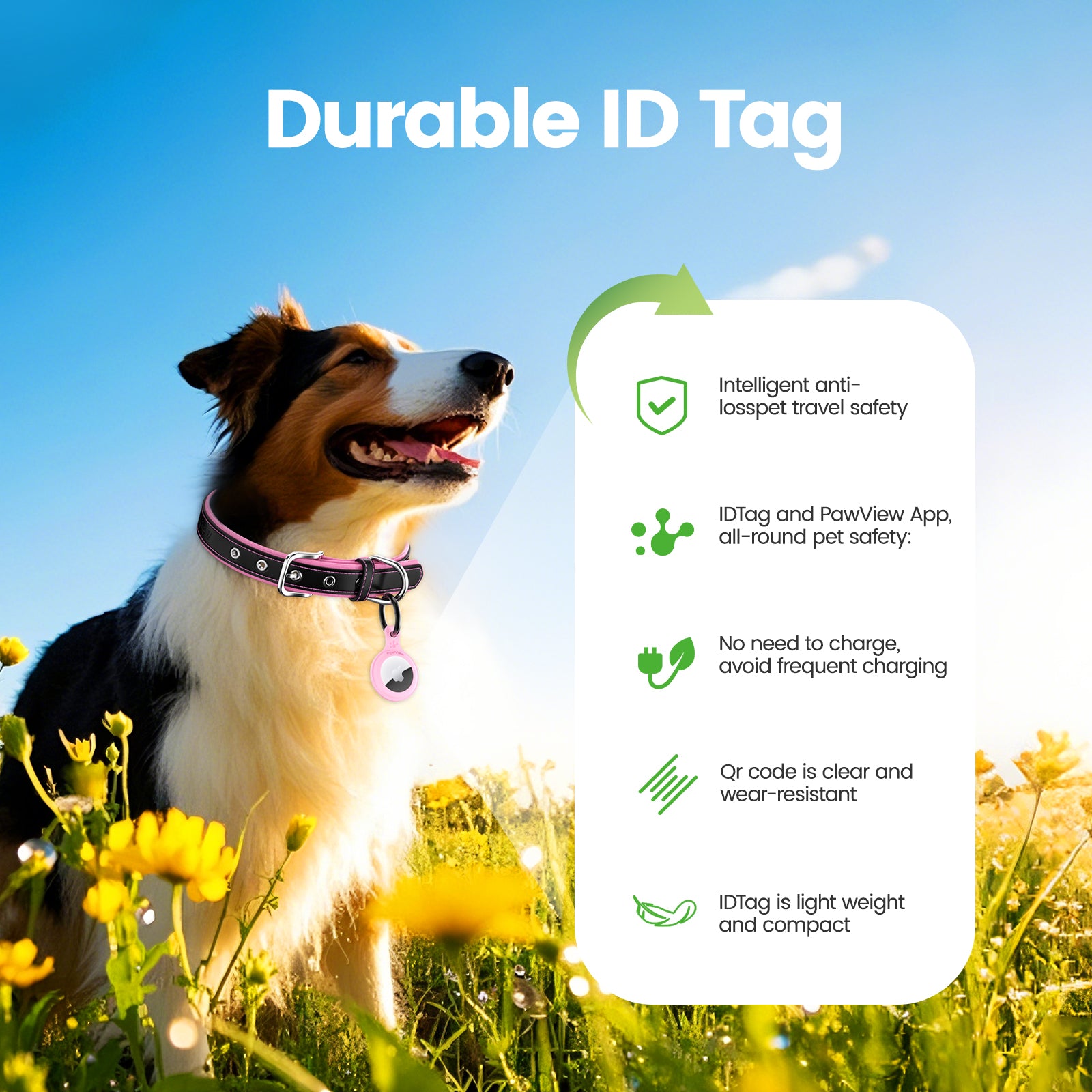 Pawview Collier pour Chien avec Tag Intelligent Ajustable et Confortable en Bleu Orange Blanc Rose Violet avec Support pour Airtag