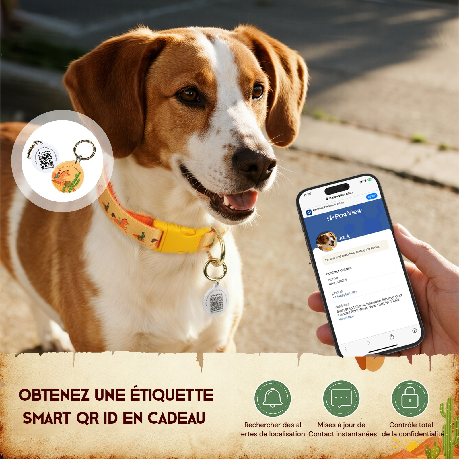 PawView Ensemble Western Cowboy Collier Laisse Nœud Papillon avec Médaille d'Identification pour Animal Orange Carotte